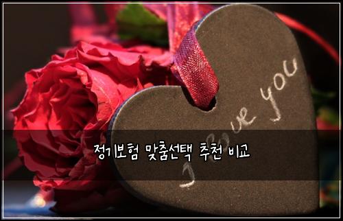 ์ ๊ธฐ๋ณดํ ๋ง์ถค์ ํ ์ถ์ฒ ๋น๊ต