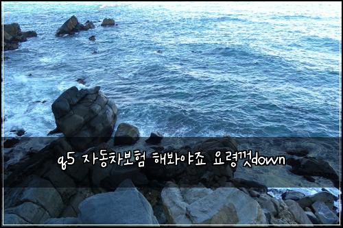 q5 ์๋์ฐจ๋ณดํ ํด๋ด์ผ์ฃ ์๋ น๊ปdown