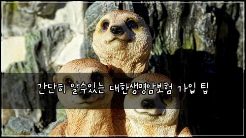 간단히 알수있는 대한생명암보험 가입 팁