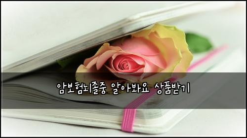 암보험뇌졸중 알아봐요 상품받기