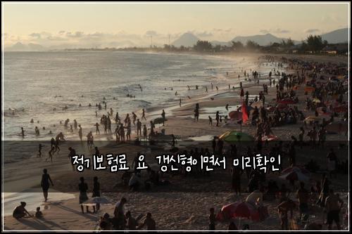 정기보험료 요 갱신형이면서 미리확인