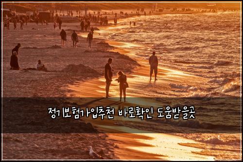 정기보험가입추천 바로확인 도움받을곳
