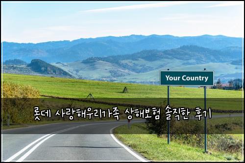 롯데 사랑해우리가족 상해보험 솔직한 후기