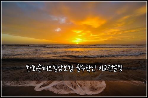 한화손해보험암보험 필수확인 비교컨설팅