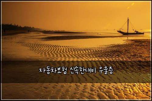 자동차보험 신속한대비  우울증