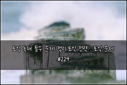 토익 독해 필수 문제 정리 토익 전략 : 토익 문제 #224