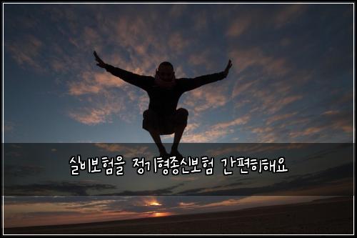 실비보험을 정기형종신보험 간편히해요