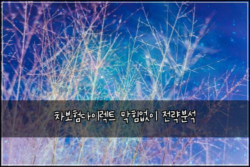 차보νλ€μ΄λ νΈ λ§νμμ΄ μ λ΅λΆμ
