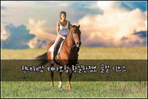 현대해상 태아보험 확실한정보  골절 기브스