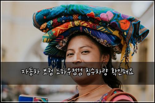 ์๋์ฐจ ๋ณดํ ๋
ธํ์ฐ์ ๊ฒ ์นจ์์ฐจ๋ ํ์ธํด์