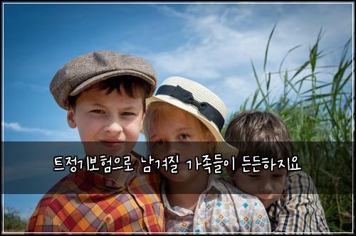 트정기보험으로 남겨질 가족들이 든든하지요