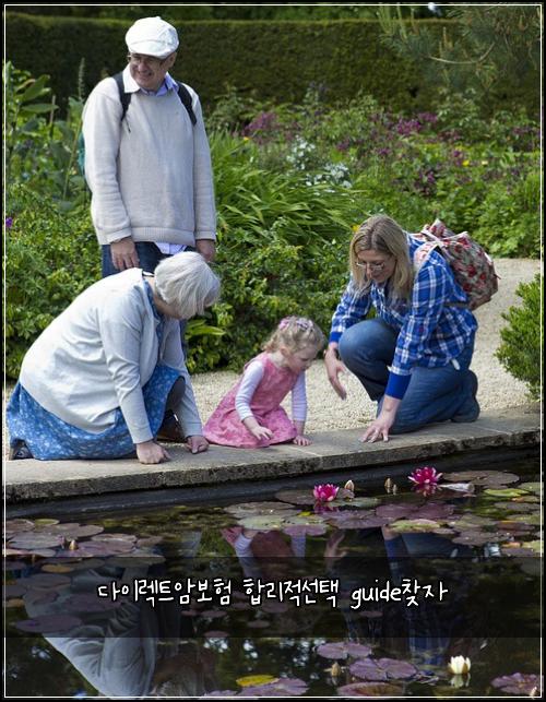 다이렉트암보험 합리적선택  guide찾자
