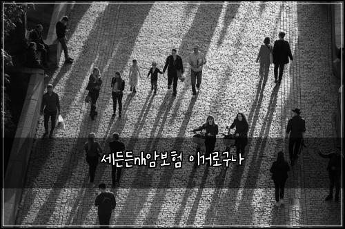 세든든nh암보험 이거로구나 