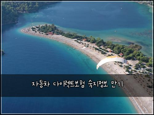 자동차 다이렉트보험 숙지정보  만기