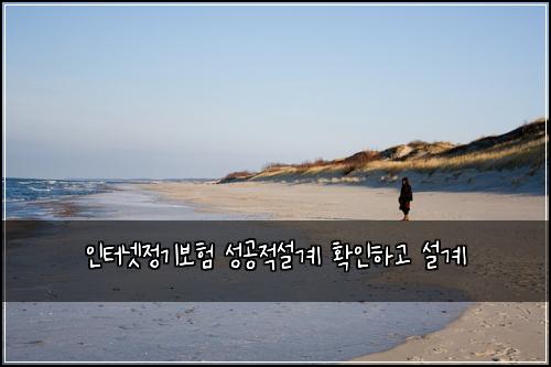 인터넷정기보험 성공적설계  확인하고 설계