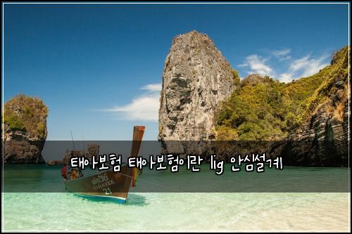 ํ์๋ณดํ ํ์๋ณดํ์ด๋ lig ์์ฌ์ค๊ณ