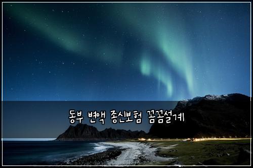 동부 변액 종신보험 꼼꼼설계 