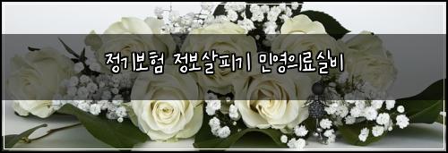 정기보험 정보살피기  민영의료실비