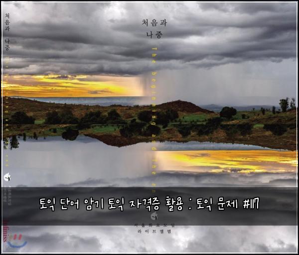 토익 단어 암기 토익 자격증 활용 : 토익 문제 #117