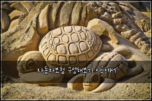 자동차보험 구성해보기  이곳에서