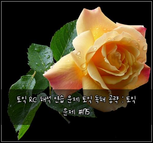 ํ ์ต RC ํด์ ์ฐ์ต ๋ฌธ์ ํ ์ต ๋
ํด ๊ณต๋ต : ํ ์ต ๋ฌธ์ #175
