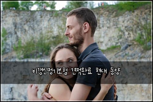 비갱신정기보험 견적완료  현대 동양