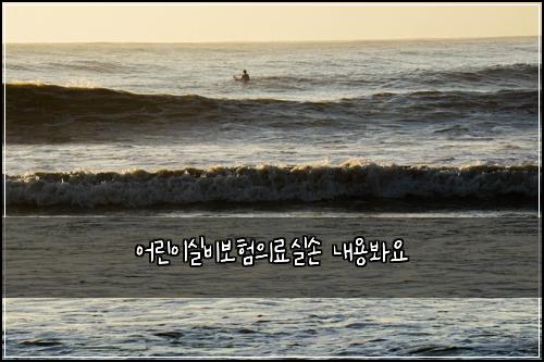 어린이실비보험의료실손 내용봐요