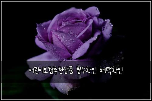 ์ด๋ฆฐ์ด๋ณดํ์ถ์ฒ์ํ ํ์ํ์ธ ํํํ์ธ