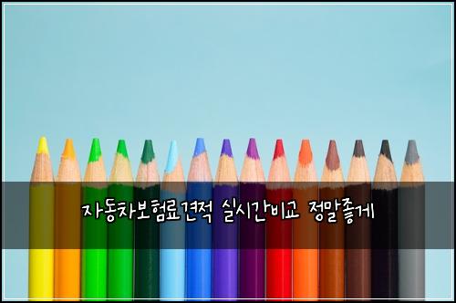 자동차보험료견적 실시간비교 정말좋게