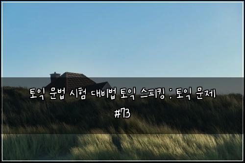 토익 문법 시험 대비법 토익 스피킹 : 토익 문제 #73