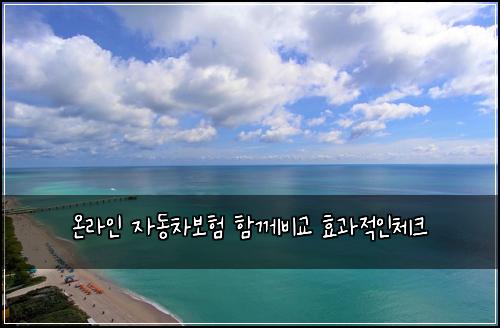 온라인 자동차보험 함께비교  효과적인체크
