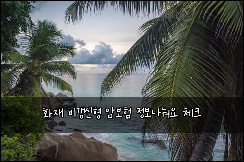 화재 비갱신형 암보험 정보나눠요  체크