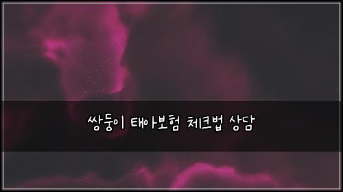 쌍둥이 태아보험 체크법  상담