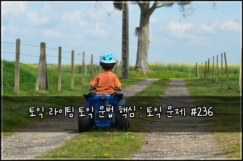 토익 라이팅 토익 문법 핵심 : 토익 문제 #236