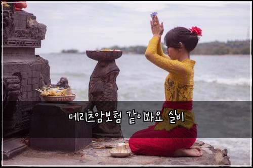 메리츠암보험 같이봐요  실비