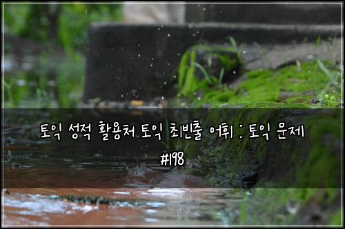 토익 성적 활용처 토익 최빈출 어휘 : 토익 문제 #198