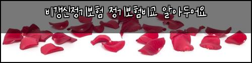 비갱신정기보험 정기보험비교 알아두어요