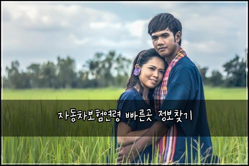 자동차보험연령 빠른곳 정보찾기