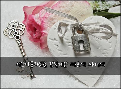 ์๋ฏผ์๋์ฐจ๋ณดํ ๊ฒฌ์ ๊ณ์ฐ ๋น ๋ฅด๊ฒ ์ธ๊ฒ๊ฒ