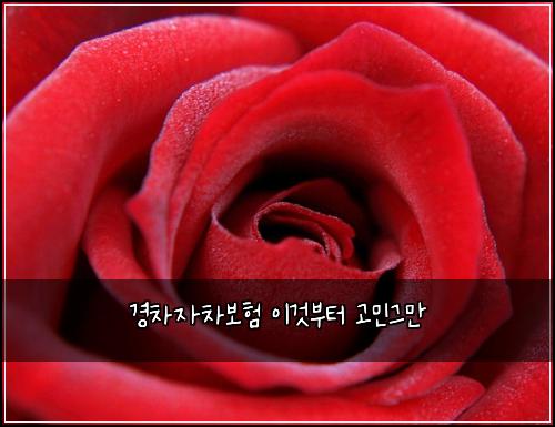 ๊ฒฝ์ฐจ์์ฐจ๋ณดํ ์ด๊ฒ๋ถํฐ ๊ณ ๋ฏผ๊ทธ๋ง