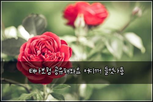 ํ์๋ณดํ ๊ณต์ ํด๋ด์ ์ด๋๊บผ ๋ค์๋์ฉ