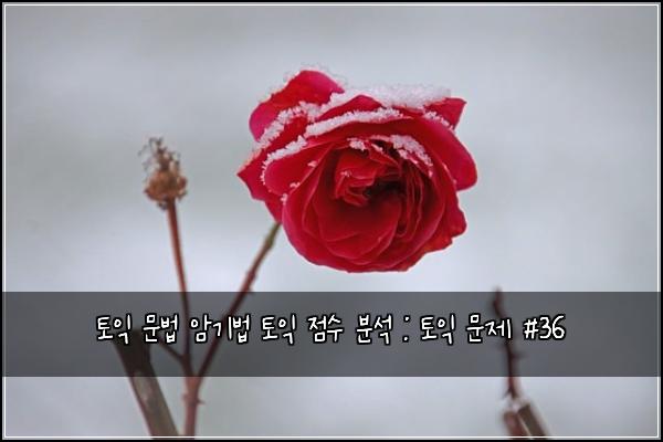 토익 문법 암기법 토익 점수 분석 : 토익 문제 #36