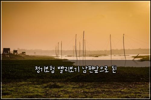 정기보험 빨리보기  남편앞으로 된