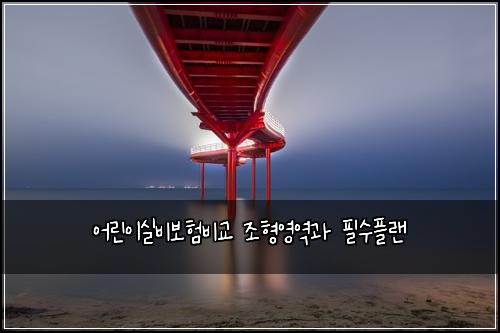 어린이실비보험비교 조형영역과 필수플랜