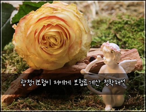 랑정기보험이 저에게 보험료계산 정확해석