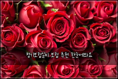 정기보험실비 보험 추천 한눈에봐요