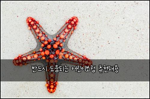 ๋ฐ๋์ ๋์๋๋ ์ด๋ฆฐ์ด๋ณดํ ์ธ์ฒํด์ฉ