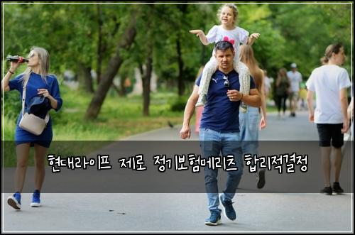 현대라이프 제로 정기보험메리츠 합리적결정