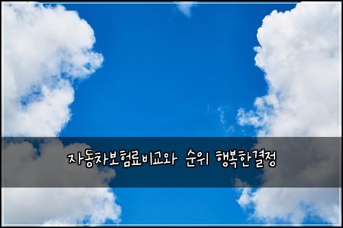자동차보험료비교와 순위 행복한결정