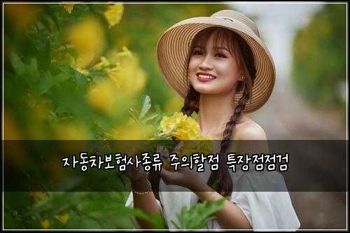 ์๋์ฐจ๋ณดํ์ฌ์ข
๋ฅ ์ฃผ์ํ ์ ํน์ฅ์ ์ ๊ฒ